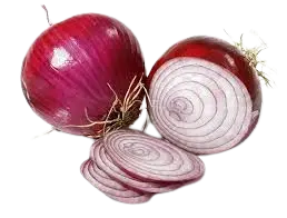 onion-pizza